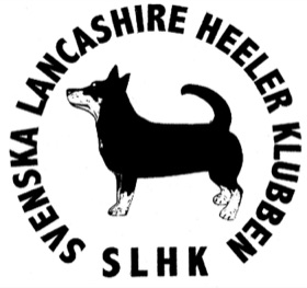 Svenska Lancashire Heelerklubben